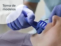 toma modelos
